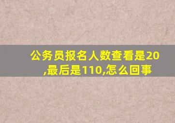 公务员报名人数查看是20,最后是110,怎么回事