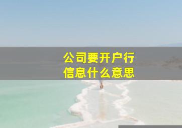 公司要开户行信息什么意思