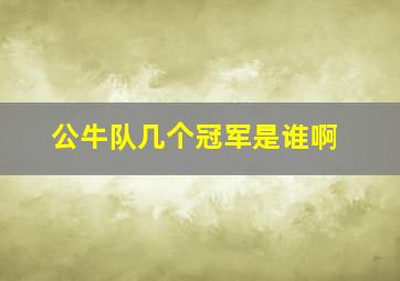 公牛队几个冠军是谁啊