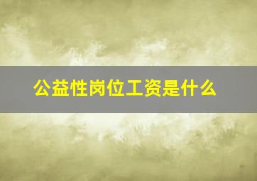 公益性岗位工资是什么