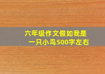 六年级作文假如我是一只小鸟500字左右