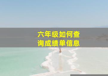 六年级如何查询成绩单信息