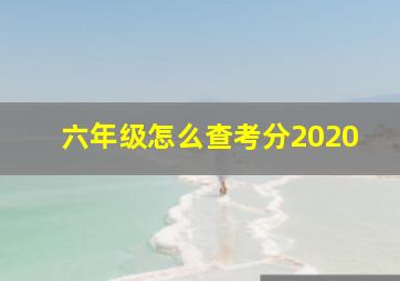 六年级怎么查考分2020