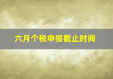 六月个税申报截止时间