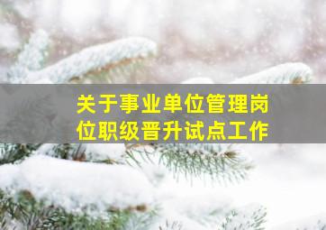 关于事业单位管理岗位职级晋升试点工作