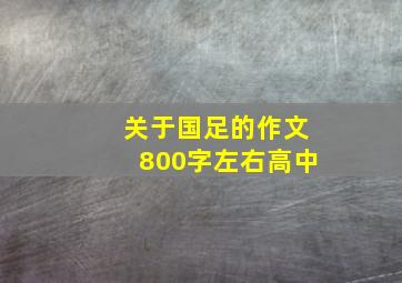 关于国足的作文800字左右高中