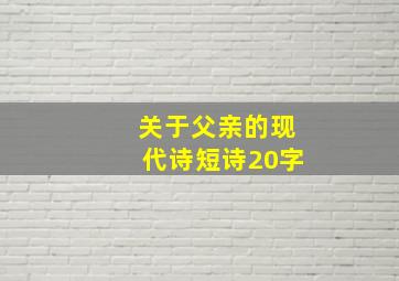 关于父亲的现代诗短诗20字