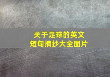 关于足球的英文短句摘抄大全图片