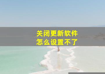 关闭更新软件怎么设置不了