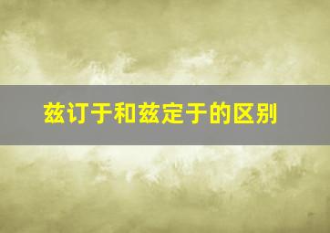 兹订于和兹定于的区别