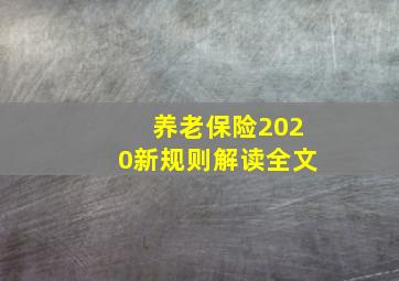 养老保险2020新规则解读全文