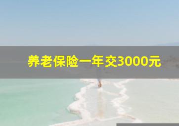 养老保险一年交3000元