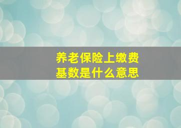 养老保险上缴费基数是什么意思