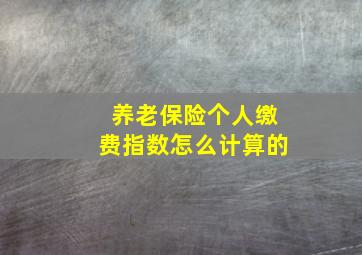 养老保险个人缴费指数怎么计算的