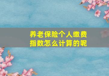 养老保险个人缴费指数怎么计算的呢