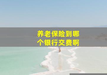 养老保险到哪个银行交费啊