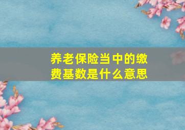 养老保险当中的缴费基数是什么意思