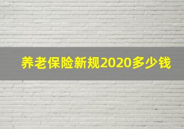 养老保险新规2020多少钱