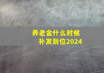 养老金什么时候补发到位2024