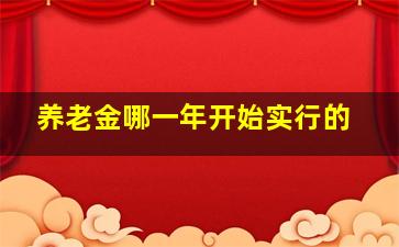 养老金哪一年开始实行的