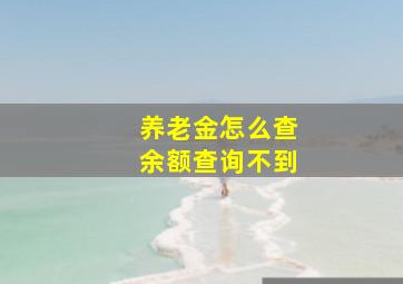 养老金怎么查余额查询不到