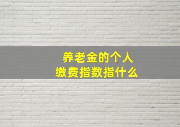 养老金的个人缴费指数指什么