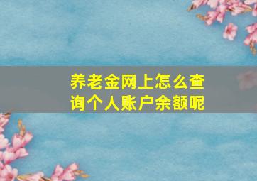 养老金网上怎么查询个人账户余额呢