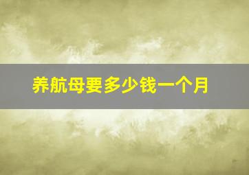 养航母要多少钱一个月