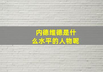 内德维德是什么水平的人物呢