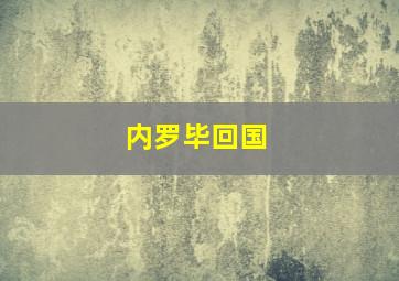 内罗毕回国