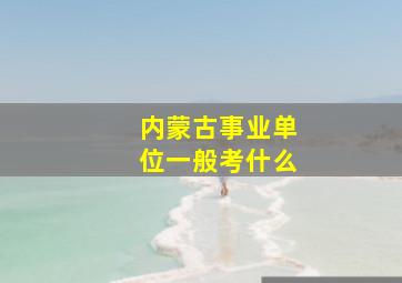 内蒙古事业单位一般考什么