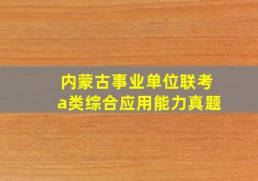 内蒙古事业单位联考a类综合应用能力真题