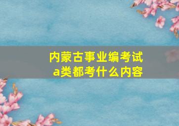 内蒙古事业编考试a类都考什么内容