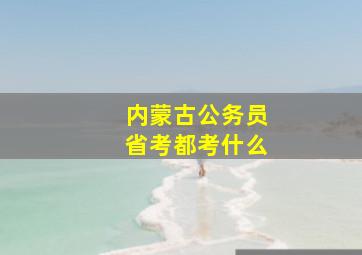 内蒙古公务员省考都考什么