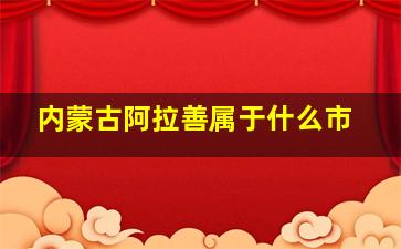 内蒙古阿拉善属于什么市