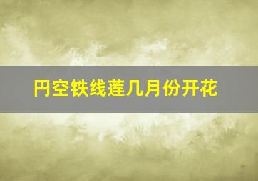 円空铁线莲几月份开花