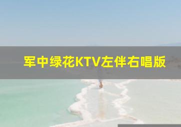 军中绿花KTV左伴右唱版