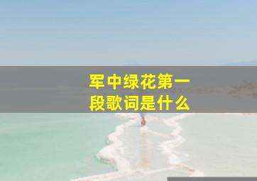 军中绿花第一段歌词是什么