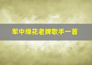 军中绿花老牌歌手一首