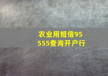 农业用短信95555查询开户行