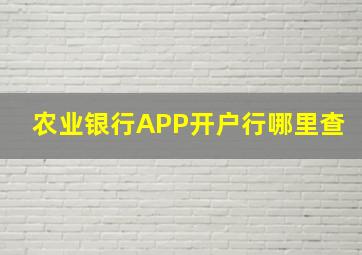 农业银行APP开户行哪里查