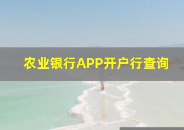 农业银行APP开户行查询