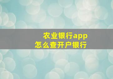 农业银行app怎么查开户银行