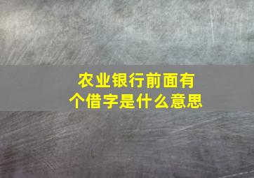 农业银行前面有个借字是什么意思