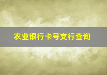 农业银行卡号支行查询