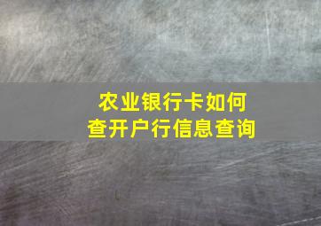 农业银行卡如何查开户行信息查询