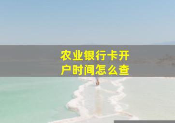 农业银行卡开户时间怎么查