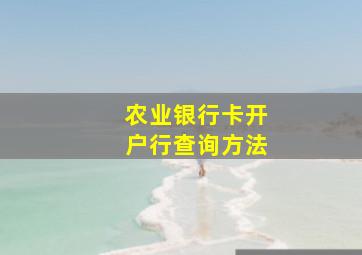 农业银行卡开户行查询方法