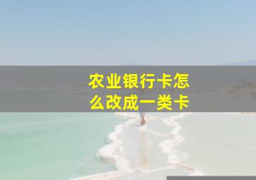 农业银行卡怎么改成一类卡