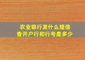 农业银行发什么短信查开户行和行号是多少